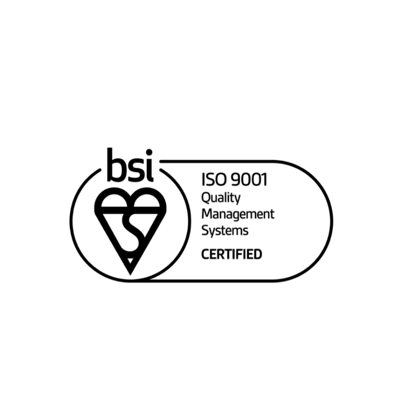 BSI ISO Logo