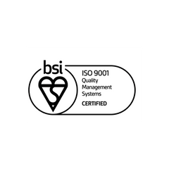 BSI ISO Logo