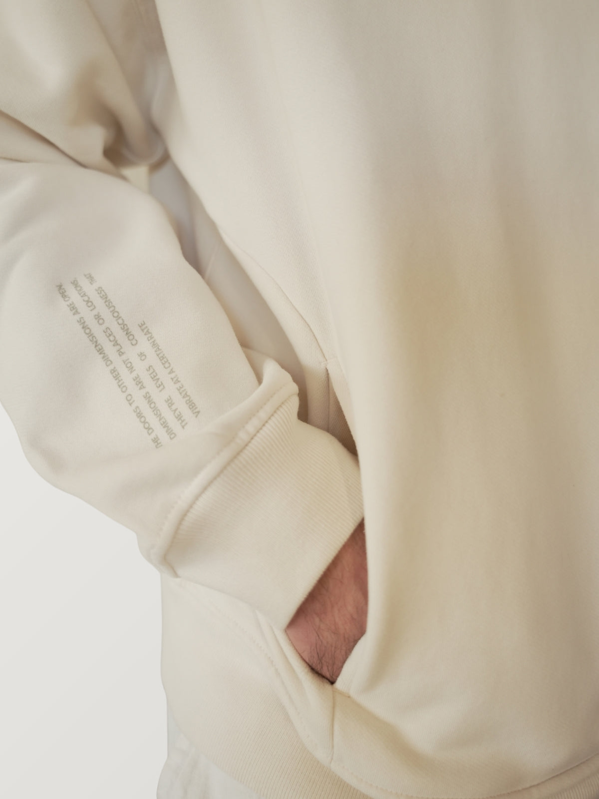 Ether Beyond Hoodie - Back Graphic