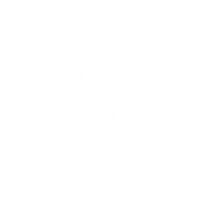 sinths Logo