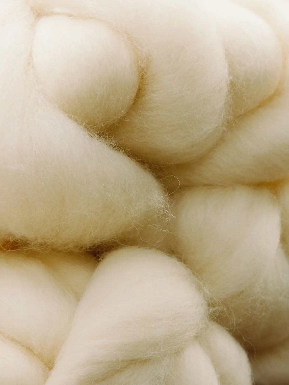 Organic Cotton